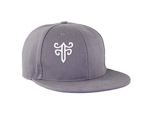Classic Fitted Hat in Gray